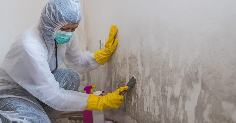 What to Do When Moisture and Mold Invade Your Home After a Flood
