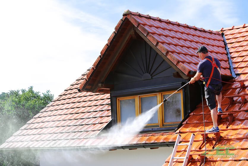 Pressure Washing for Mold and Mildew Removal