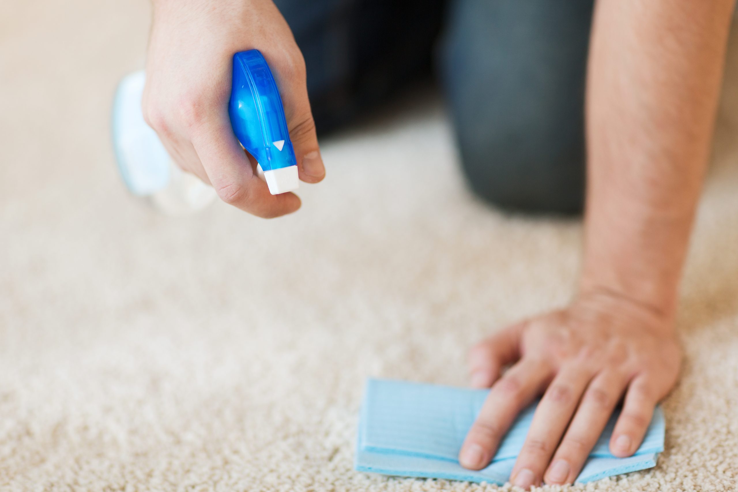 The Best Way to Clean Your Carpets During Winter