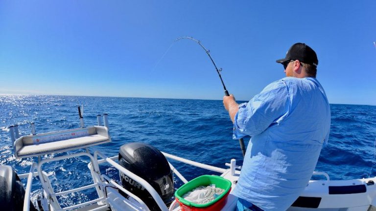 Fishing Charters: Reel In The Big Catch And Connect With Nature’s Bounty”