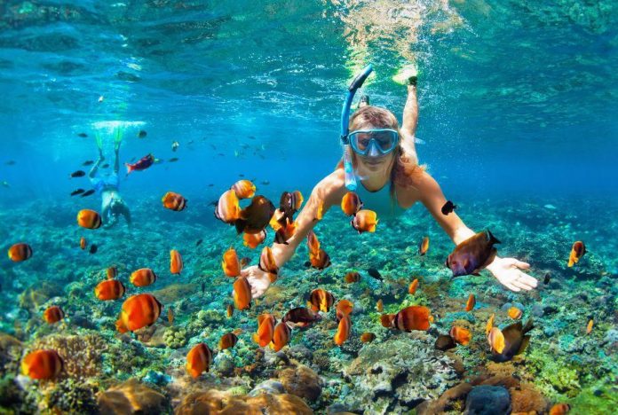 Scuba Diving And Snorkeling