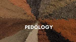 Pedology