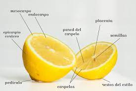 Lemon Parts