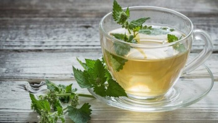 spearmint tea