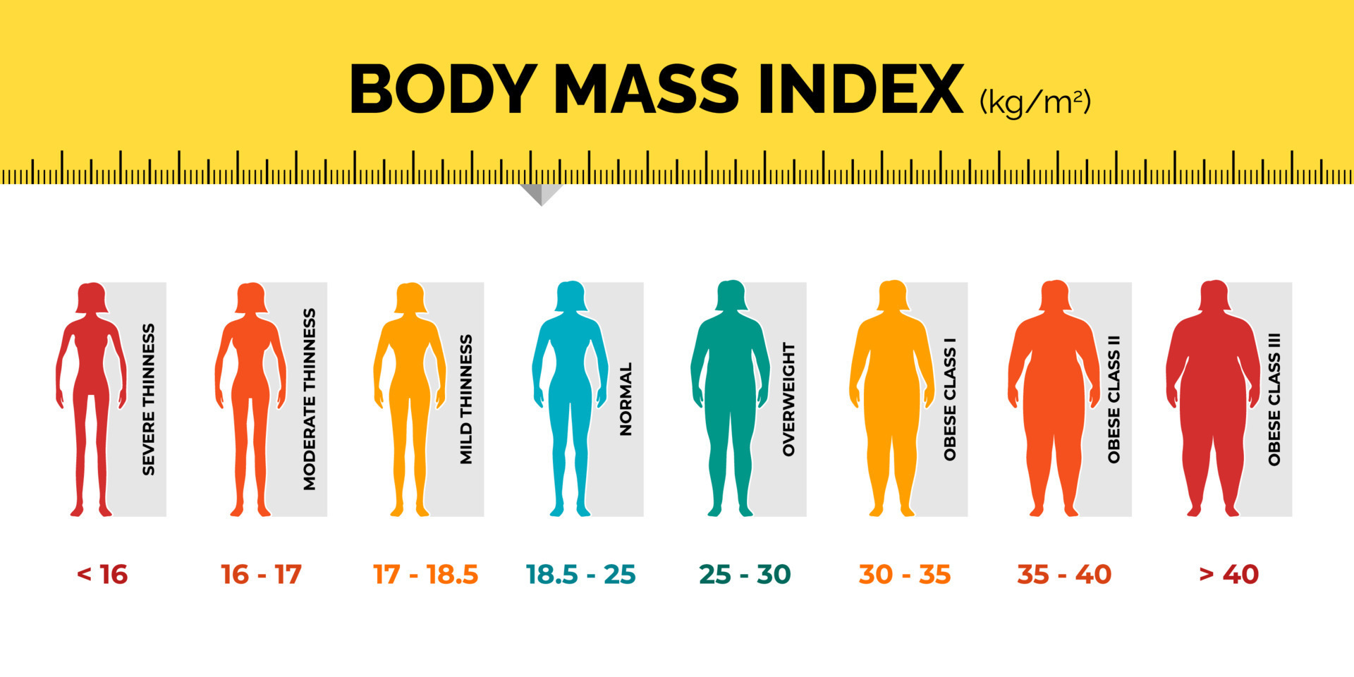 BMI Calculator 6