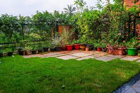 terrace gardening 2